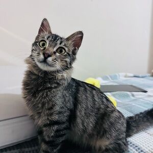 Meet your Posher, Ruwaida